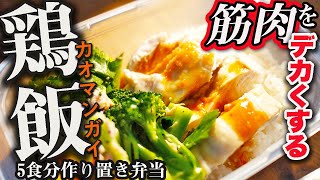 【１週間作り置き筋肉弁当】デカくなりたいなら絶対食べるべき！炊飯器でつくる最強バルクアップ飯　５食分【鶏飯/カオマンガイ】【増量飯】