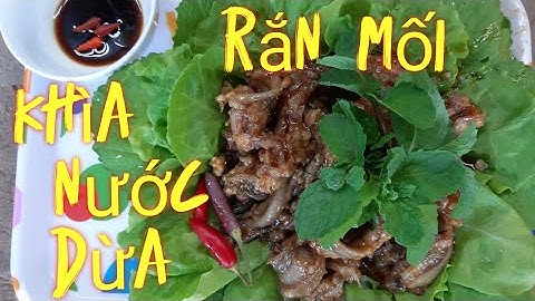 Rắn mối khìa nước dừa | Món ngon miền tây dân dã  Phần 2 | Giang Vlog #truonggiang #giangvlog #tyb