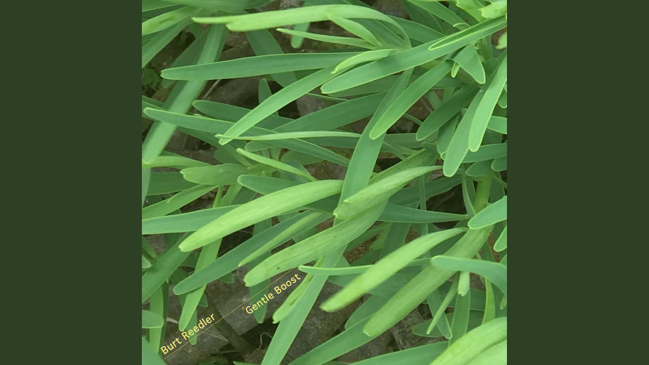 Slide auf YouTube ansehen Slide auf YouTube ansehen