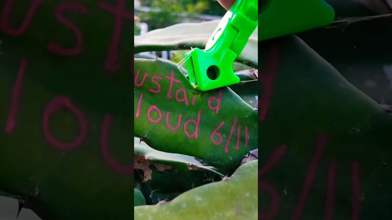 This one’s for you