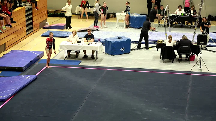 Kasey Nelson 2015 Level 10 Ga State Floor Champ