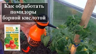 Борная кислота для помидоров: как поливать и опрыскивать