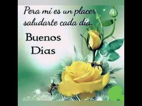 Parches de amor: buenos dias amigas ! donde estan??? Muy buenos días amigos - YouTube