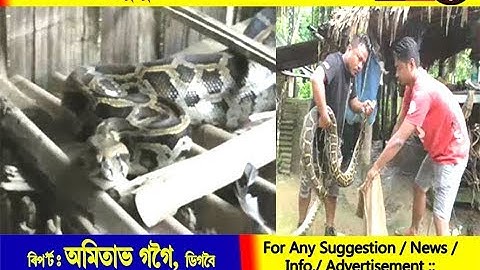 HUGE PYTHON RECOVERED IN DIGBOI