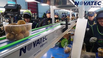 Novatec S.A. - Kiwi & Table Grapes Packing Line (Check Weigher)