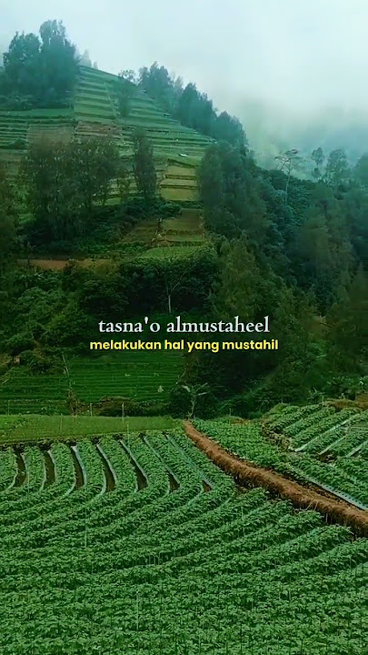 Tidak ada yang mustahil jika Allah menghendaki #cover #love #covermusic #tahun2025