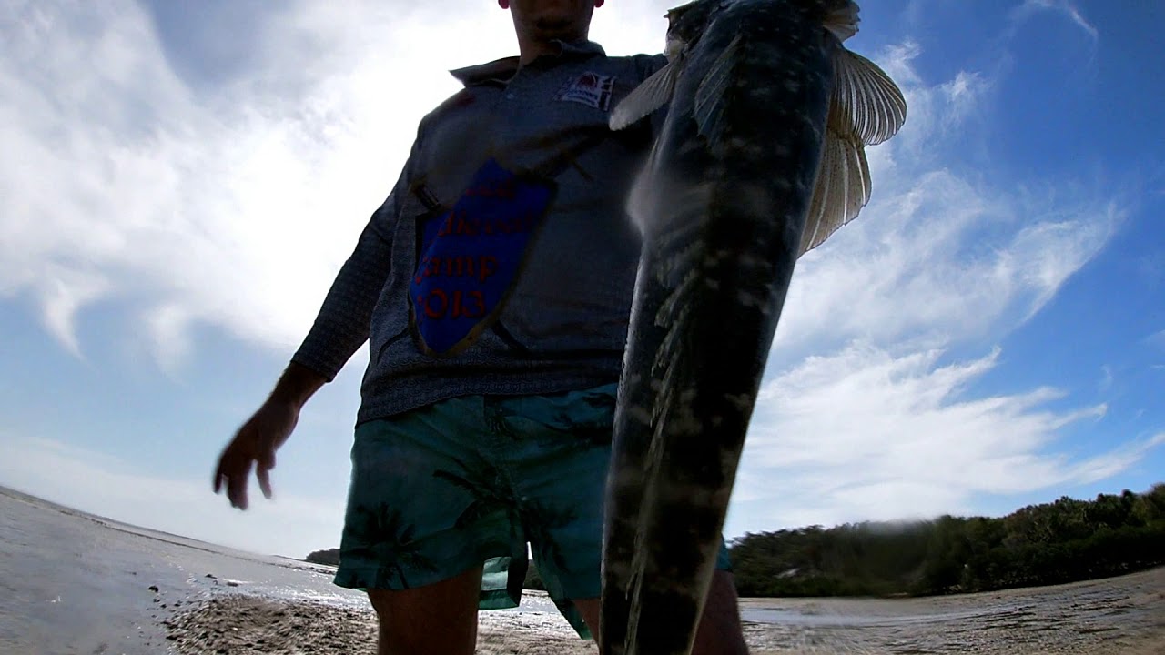 PANCAKE CREEK YouTube