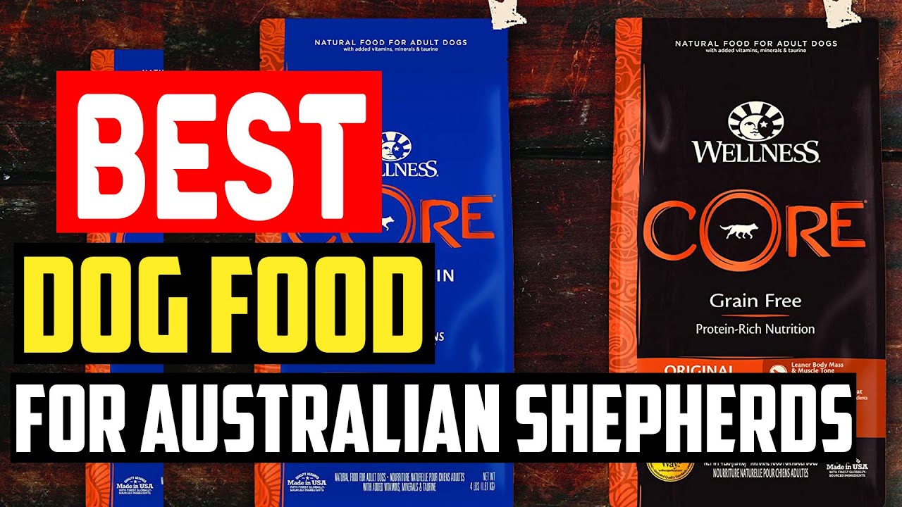 Best Dog Food for Australian Shepherds