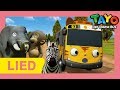 Tayos Eröffnungssong l Tayo Titelmusik (Safari Ver) l Lied für Kinder l Tayo der Kleine Bus