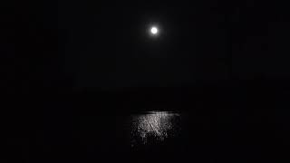 Green Screen Background Full Moon Over A Black Lake One Dark Autumn Nightchroma Key Backgrounds