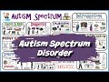 Autism spectrum disorder asd