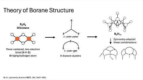 X-ray Crystallography and NMR - Ivan Yuan and Ruoyang Zhang
