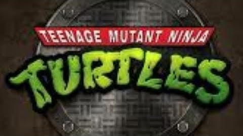 Destruction of Leo TMNT