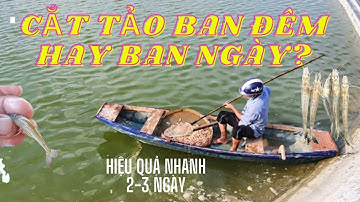 SỬ DỤNG VI SINH ĐỂ GIẢM "TẢO XANH" HIỆU QUẢ - AN TOÀN VÀ TIẾT KIỆM TRONG NUÔI TÔM CÁ