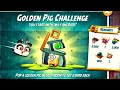 Angry birds 2 the golden pig challenge with shade 