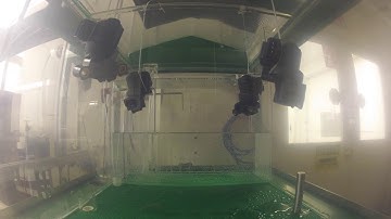 Engineering Spotlight: Idle Air Control (IAC) Valves