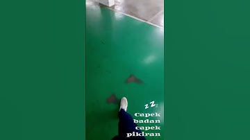 lelahnya mencari rezeki