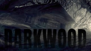 Lost In The Darkwood  Ambient Sounds    3 Hours