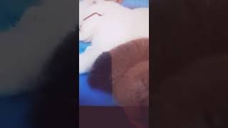 Arkadaşlar Bu Şarkıyı Kimler Hatırlıyor.