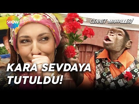 Cennet Mahallesi 73. Bölüm | Hüsnü aşkını unutamadı!