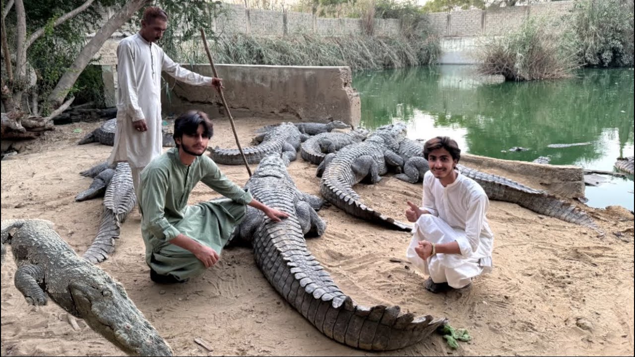 Shrine of manghopir & Crocodile 🐊 sanctuary 