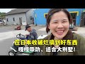 在日本收破爛搞到硬貨!露露嗨到不行,哎呀媽老帶勁了!