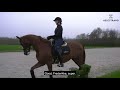 Video 3: How to secure good contact on the reins and how to strengthen weaknesses - English