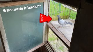 Update On The YOUNGBIRD LOSSES | Who Made It Back The Day After