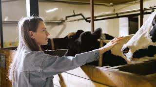 Inet Ag Beyond The Fields