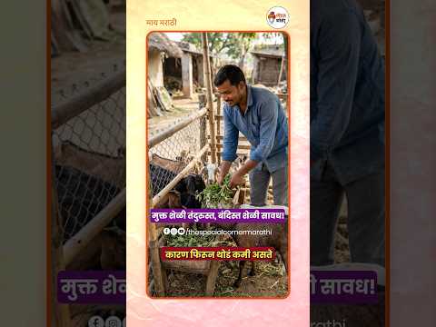 शेळीपालन हे बंदिस्त जागेत होऊ शकतं? | Shubham Jaware | मातोश्री गोट फार्म | शेतीपुरक व्यवसाय | TSCM