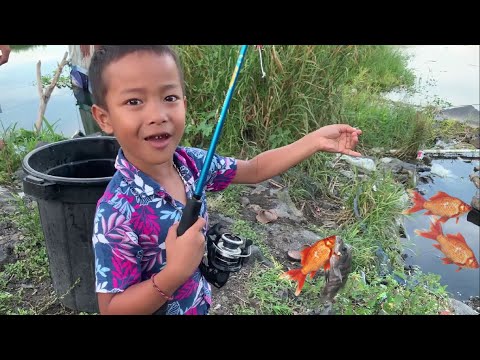Rama Mancing Ikan