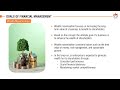 Goals of Financial Management | Financial Management MBA