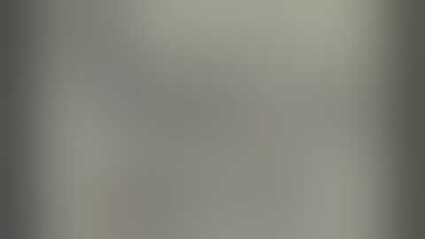 Nullsoft Television (NTV) segments