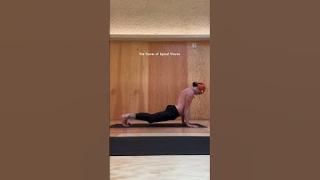 The Power of Spinal Waves