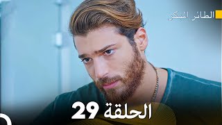 مسلسل الطائر المبكر الحلقة 29 (Arabic Dubbing)