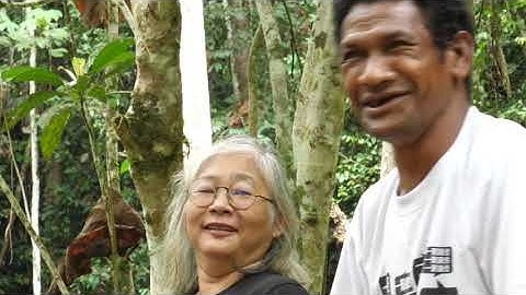 What does an anthropologist do