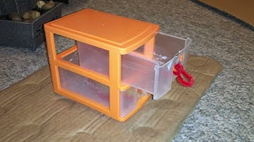 My smart pet rat Cookie fetching from a drawer!