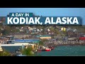 A day in kodiak  travel alaska