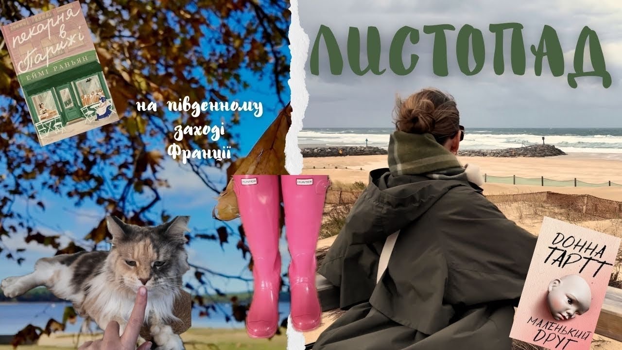 ШУКАЄМО НАТХНЕННЯ В ЛИСТОПАДІ: рутина, читання, океан і домашні улюбленці 