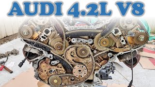 Why Audi V8 Engines are an Absolute Disaster by speedkar99 817,679 views 10 months ago 22 minutes