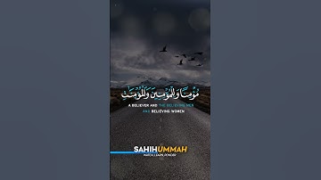 Surah Nuh (سورة نوح) - AYAT 28  - شريف مصطفى | Sherif Mostafa