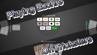 Poli Plays Euchre