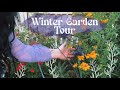 My Winter Garden Tour // Australian Pagan