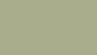 rgb(180,180,150) #b4b496