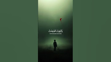 اكتب شئ تؤجر عليه ♥️🎧 #سورة_الكهف #صلاح_بو_خاطر