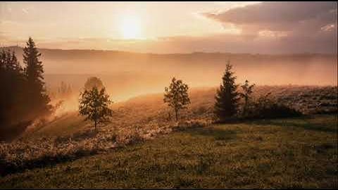 تلاوة جميلة تُرقق القلوب عطر مسامعك | بكر عوض الكثيري