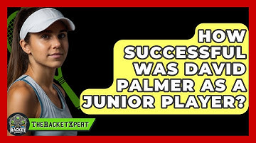 How Successful Was David Palmer As A Junior Player? - The Racket Xpert