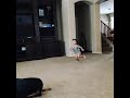 Nerf Wars! Toddler running from Nerf gun. lil man running for his life. this is too funny!!!🤣🤣