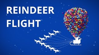WHAT IF: How Could Reindeer Fly?