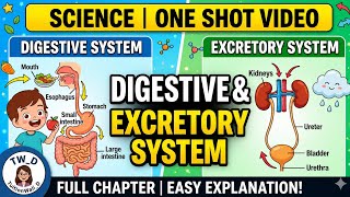 Science Digestive and Excretory system complete chapter in video@TuitionWali_D